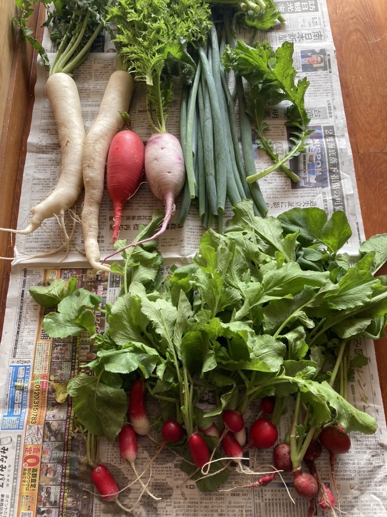 色々な新鮮野菜