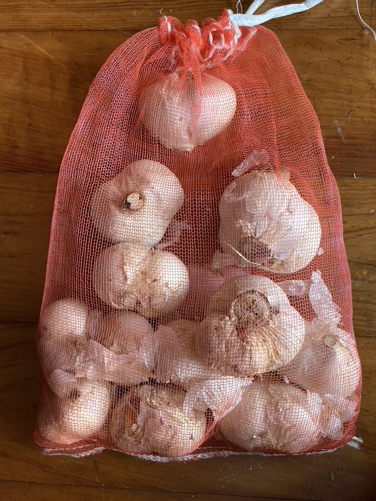 大量のにんにく
